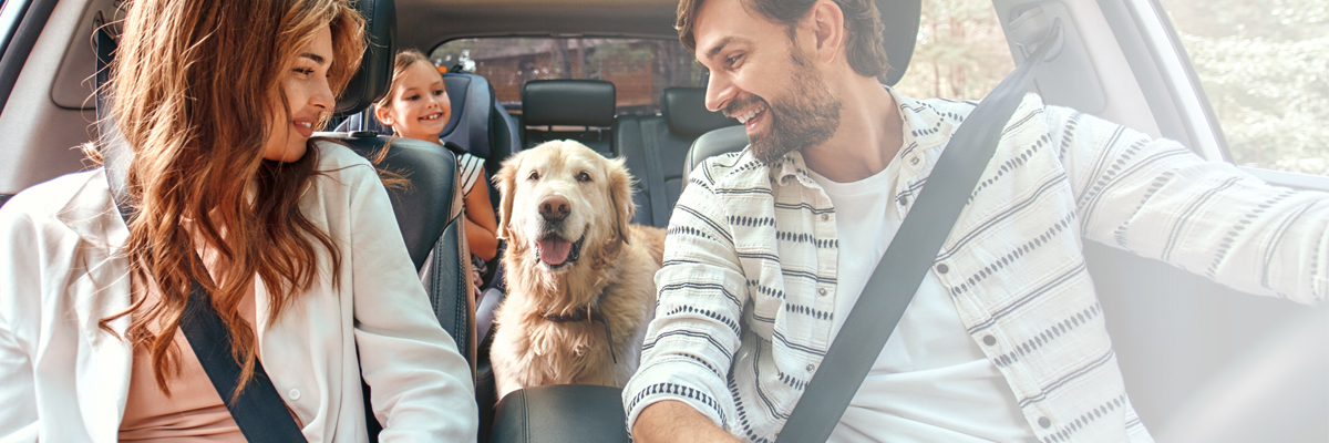 Happy family in a car, riding with their dog